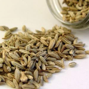 Zvjezdani anis začin